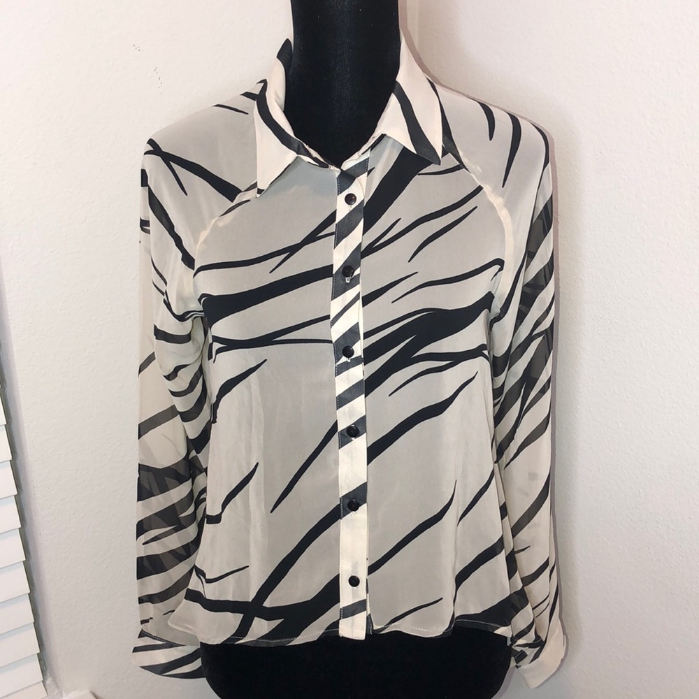 Black and Off-White Sheer Button-Down